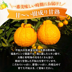 54-11　福島オレンジ農園 【贈答用】減農薬で安心安全なおいしい甘く熟した!!不知火　約3kg_U54-0011