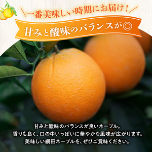 54-13　福島オレンジ農園 【家庭用】減農薬栽培! おいしい樹成甘熟!!ネーブル　約5kg_U54-0013