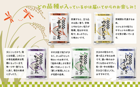 K2480【定期便/3か月連続お届け】＜2024年6月上旬初回発送＞  お米 5kg 茨城県産 定期便