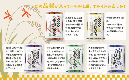 K2482【定期便/3か月連続お届け】＜2024年06月上旬初回発送＞  お米 2種 食べくらべ 10kg 茨城県産