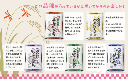 K2481【定期便/6か月連続お届け】＜2024年06月上旬初回発送＞  お米 5kg 茨城県産 定期便