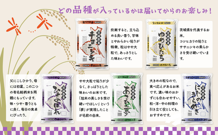 K2483【定期便/6か月連続お届け】＜2024年06月上旬初回発送＞  お米 2種 食べくらべ 10kg 茨城県産