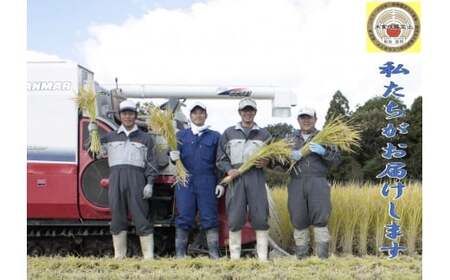 【新米受付・令和8年産米】新潟県村上市岩船産 真空パック 新之助 4.5kg（300g×15袋） NA4231｜米 特別栽培米 白米 小分け 便利 計量不要 低温倉庫保管