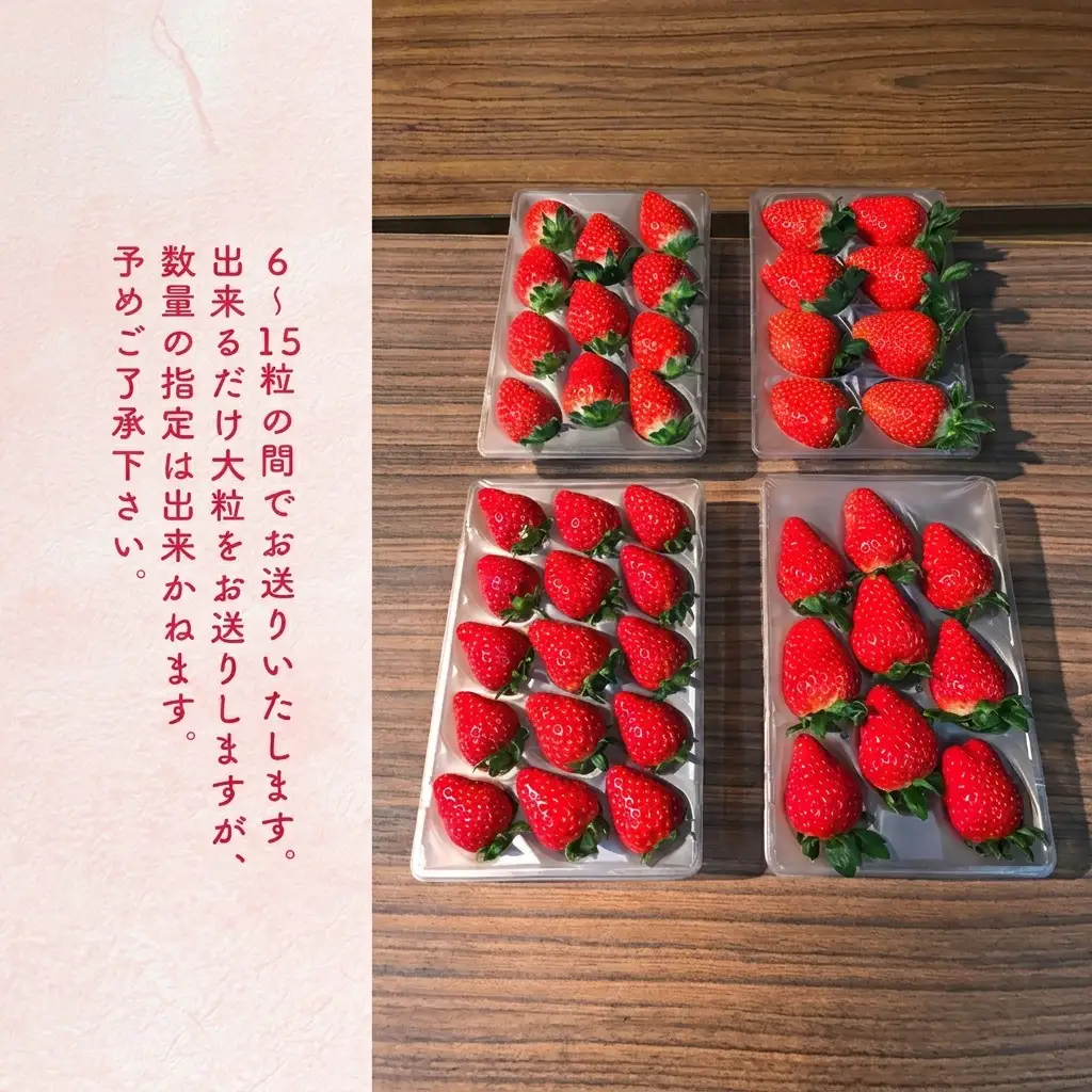 いちご 新鮮 採れたて 果物 いちご【4パック】