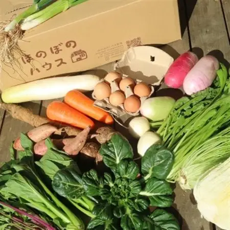 【畑から直送】味覚を育む旬の野菜約8種と自然卵10コ入り_野菜 玉ねぎ  たまねぎ タマネギ  野菜 じゃがいも いも ジャガイモ 馬鈴薯  野菜 さつまいも いも サツマイモ 薩摩芋  野菜  いも イモ 芋  野菜  トマト   野菜 人参 根菜 にんじん ニンジン  野菜 大根 根菜 だいこん ダイコン  野菜 かぼちゃ  カボチャ 南瓜  野菜 茄子  なす ナス  野菜 レタス  _【配送不可地域：離島】【1483988】