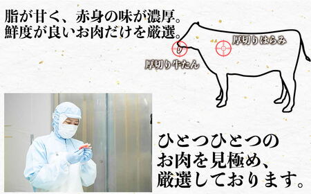 オアシス九州  厚切り 牛タン ハラミ  焼き肉 セット  (軟化加工) 700g 冷凍 _U117-0047