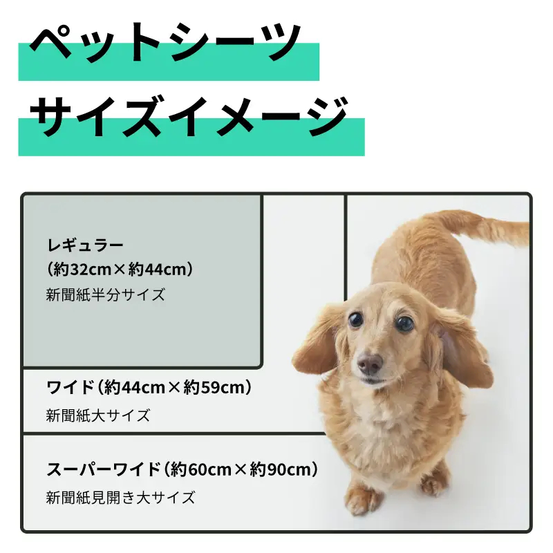 ペットワールド ペットシーツ スーパーワイド 薄型 36枚×4袋 青色 おしっこ トイレ すばやく 吸収 消臭 1回交換 ワン 犬 いぬ まとめ買い ペット用 消耗 衛生 防災 備蓄 日本製 国産 SDGs サノテック 静岡 富士市 [sf024-015]