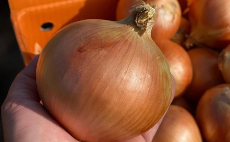 原田兄弟の一番玉ねぎ 10kg