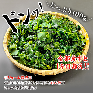 訳ありカットわかめ 海産物 三陸産わかめ 乾燥わかめ 便利 食材 みそ汁の具 