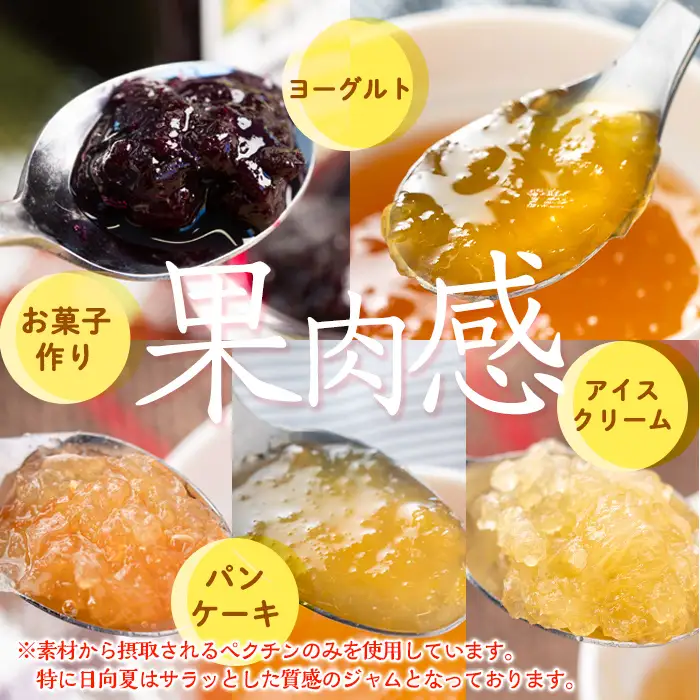 isa553 《数量限定》5種のバラエティージャム食べ比べセット(計12個・ブルーベリー×4、紅甘夏×2、ボンタン×2、サワーポメロ×2、日向夏×2)加工食品 果物 フルーツ 詰め合わせ 果肉 柑橘 低糖 ハンドメイド ジャム ギフト マーマレード【薩摩美食倶楽部】
