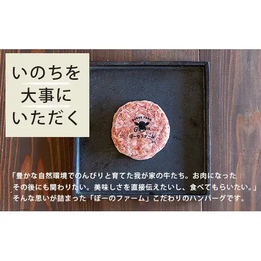 ＜先行予約＞石垣島黒毛和牛１００％ハンバーグ 100g×10個  BO-1