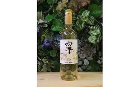 春日井ワイナリ－春の風 2024(寧)デラウェア 白ワイン 750ml 1本