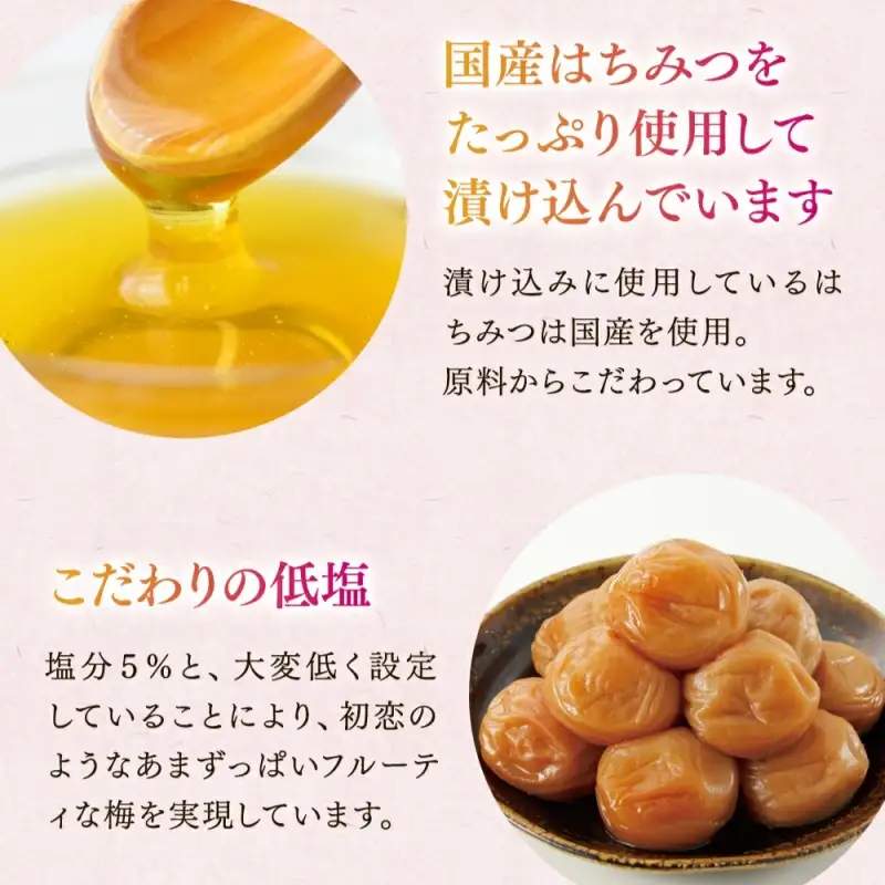 紀州南高梅「蜜恋」（塩分約5％）350ｇ はちみつ梅干し A級品 大粒3L以上 / 和歌山 梅干し 田辺市 紀州南高梅 南高梅 梅干 梅 うめ 肉厚 お米 おにぎり 焼酎 梅酒 健康 はちみつ入り りんご酢 塩分約5％ 塩分控えめ【kbe042-1】