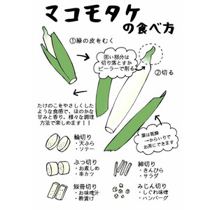 出雲國マコモタケ（生） 1kg 出雲市産　【2026年9月上旬以降発送】