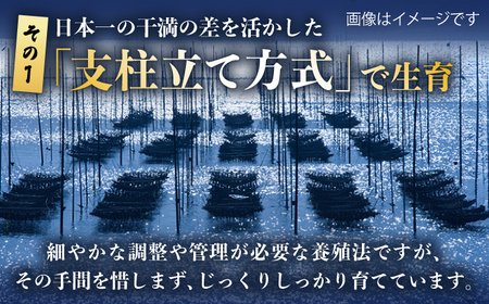 初摘み海苔 焼のり堪能セットD 計9袋 / 海苔 / 有明の風 [41AACO007]