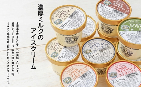 アイスクリーム 長門牧場 贅沢480ml バニラ・チョコ アイスクリーム【480ml×3個】【定期便6ヵ月】