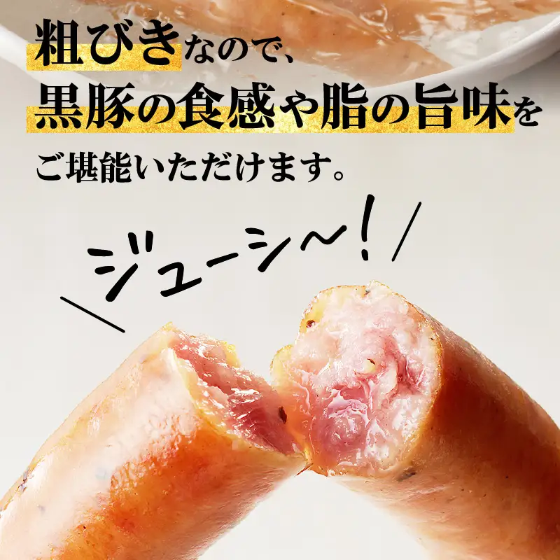 鹿児島黒豚ウインナー2P K161-021 肉 豚肉 惣菜 総菜 冷凍