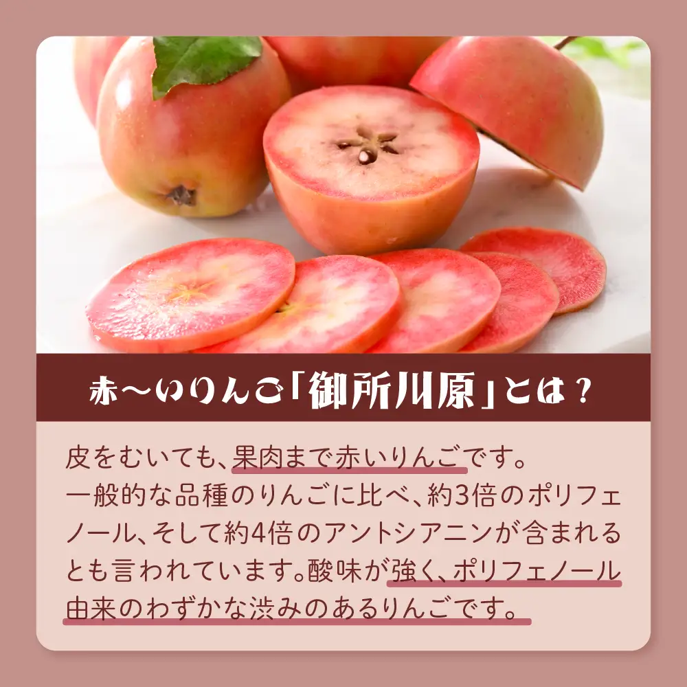 【季節限定】 果肉まで赤～いりんごのアップルパイ （21cmホール）【 青森県 五所川原市 お取り寄せ 】