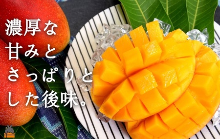 《2026年夏お届け！》てぃだ（太陽）を浴びて育った徳之島産完熟マンゴー（2kg） ( マンゴー フルーツ 果物 完熟 無加温 徳之島 世界自然遺産 美味しい とろける 旬 贅沢 糖度 南の島 )