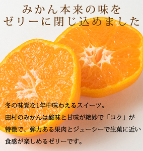 紀州和歌山まるごとみかんゼリー 145g×12個（6個入×2箱） ※2024年10月上旬頃より発送予定【uot791】