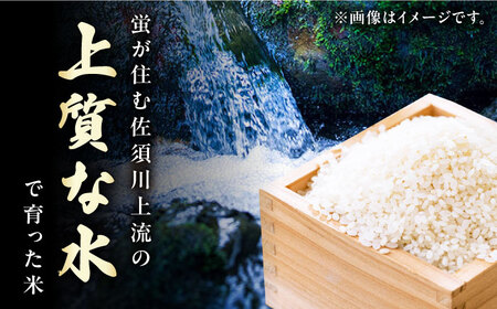 【全3回定期便】対馬産 なつほのか 5kg [WCQ001]白米 米 お米 ご飯 ごはん 5kg 5キロ 贈答用 定期便  