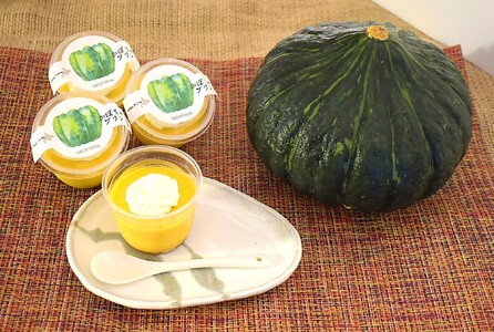 苫前町産かぼちゃ使用 上田ファームのかぼちゃプリン 100g×6個 濃厚 なめらか カラメルソース入り ぷりん カボチャ パンプキン スイーツ デザート 冷凍 ギフト 北海道 苫前町 とままえ ued05