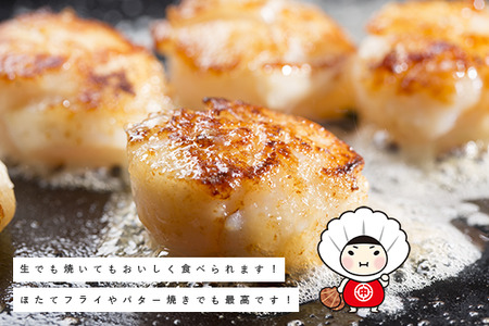 北海道 オホーツク産 訳あり 冷凍 天然 ホタテ Aフレーク 1kg 帆立 ほたて 刺身 玉冷 貝柱 海鮮 魚介 国産 サロマ湖 魚介類 訳アリ 