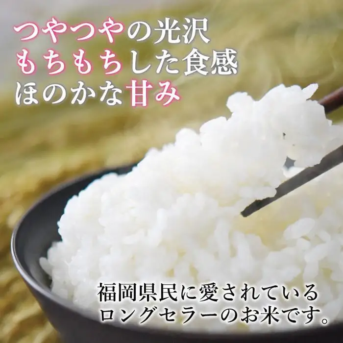 令和7年米 福岡県産 米 金のめし丸夢つくし 5kg | 精米 お米 こめ 白米 ライス ブランド米