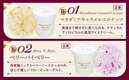 B:ハンデルスベーゲン無添加アイスクリーム/たっぷり入ったパイントサイズ2個入り（マカダミアキャラメルココナッツ・ベリーバイベリー） パーティー 家族 大容量 キャラメル ベリー ヨーグルト AHR0002VC02