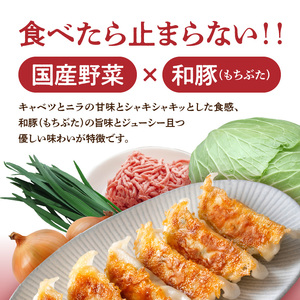 口福餃子「和（もち）豚」使用 しそ入り餃子（冷凍生） _U119-0002