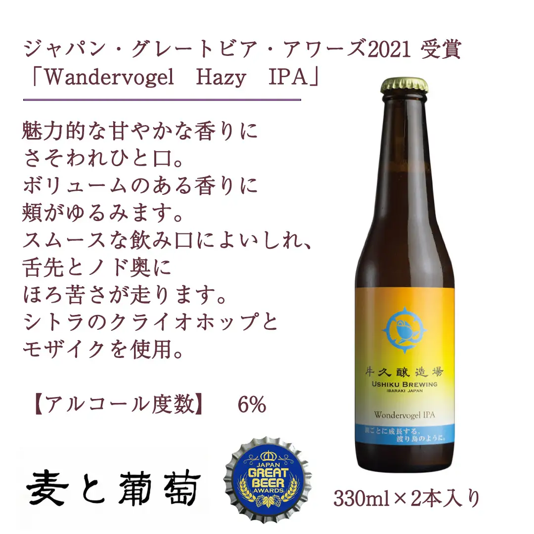 【 お歳暮 熨斗付 】 5年連続！《 ジャパン・グレートビア・アワーズ 受賞 》 クラフトビール 2種 計 6本 セット