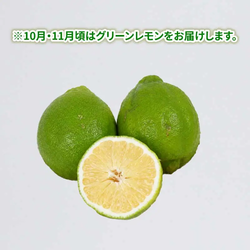 訳あり 璃の香 ( レモン ) 5kg つばさ農園 ﾚﾓﾝB010-048014