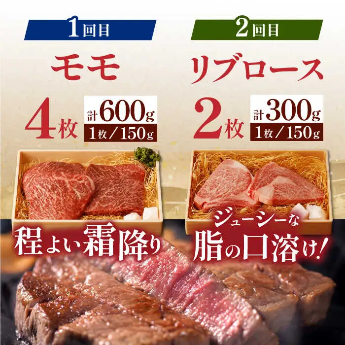 【全6回定期便】 長崎和牛 ステーキざんまいコース 総計2.5kg / モモ リブロース イチボ サーロイン ランプ ヒレ / 肉 牛肉 ステーキ 焼肉 / 波佐見町 / 野中精肉店 [VF81] 九州 九州産