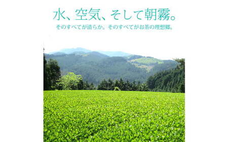 【八女茶】奥八女星野村 深蒸し高級煎茶 (深蒸し茶) 100g×1袋