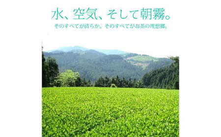 【八女茶】奥八女星野村 伝統本玉露 50g×2袋