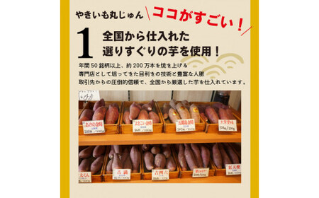 【ジャパンフードセレクション 金賞】（全6回）毎月1種類ずつ届く 冷やし焼き芋定期便 約1kg×6回（計3種） 芋スイーツ H047-051