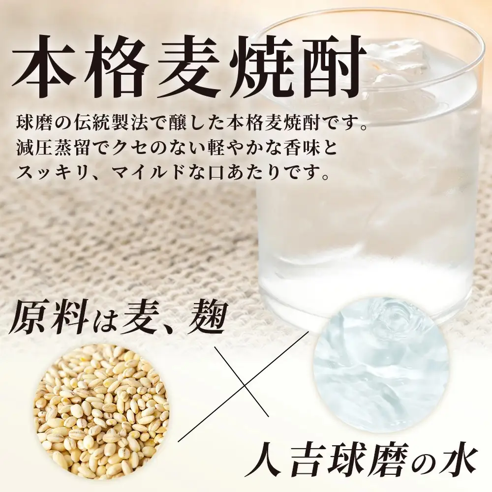 メガボトル4L×4本！ 純 麦焼酎【麦一石】4L エコペット 25度 計16L 焼酎 蔵元直送 16リットル パーティサイズ 麦 酒 麦麹 焼酎 大容量 熊本 球磨 焼酎 多良木町 040-0588