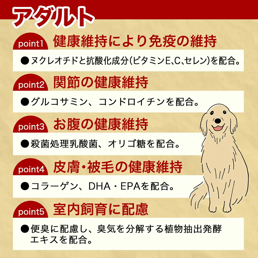 ドッグフード(レトリーバー専用)アダルト6kg〔LG-3315〕_(都城市) 国産総合栄養食 ドライフード レトリーバー専用 大粒タイプ アダルト用 健康維持 犬種別 犬用フード
