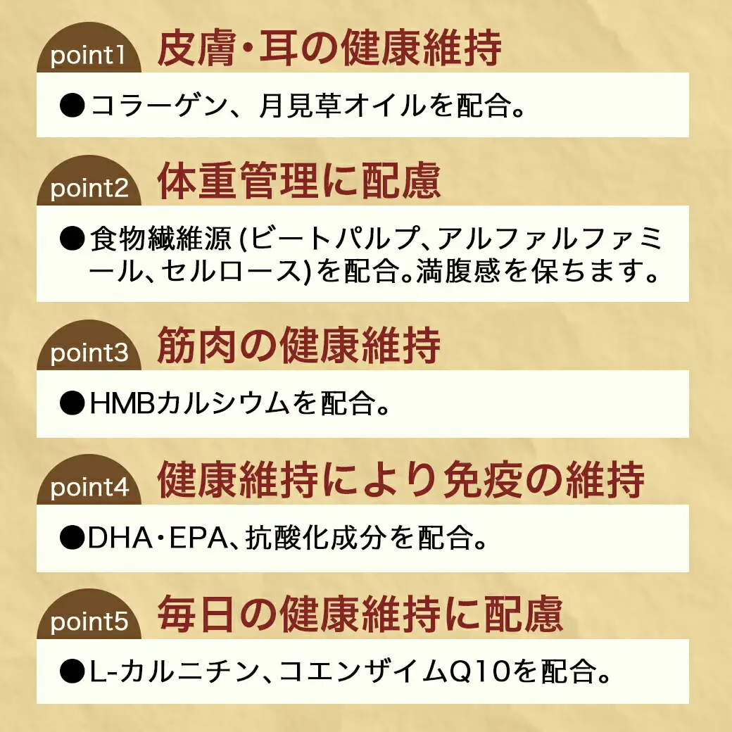 ドッグフード(ビーグル専用)アダルト～シニア2.7kg〔LF-3315〕_(都城市) 国産総合栄養食 ドライフード 中粒タイプ 健康維持 犬種別 犬用フード ビーグル専用