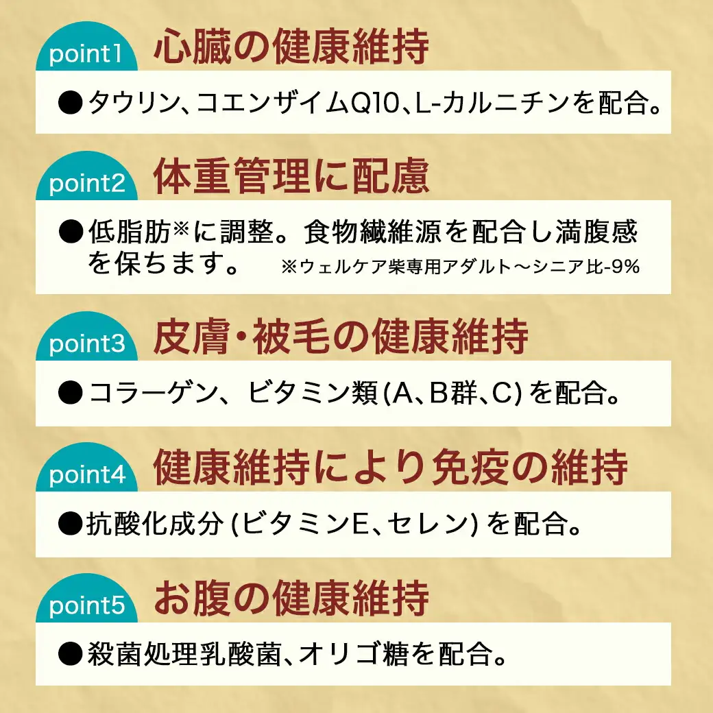ドッグフード(キャバリア専用)アダルト～シニア2.7kg〔LF-3316〕_(都城市) 国産総合栄養食 ドライフード 中粒タイプ 健康維持 犬種別 犬用フード キャバリア専用