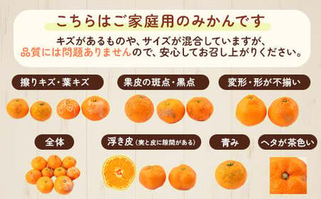 【先行予約】ご家庭用 完熟 有田みかん 2.2kg(2kg+200g(傷み補償分))｜ みかん