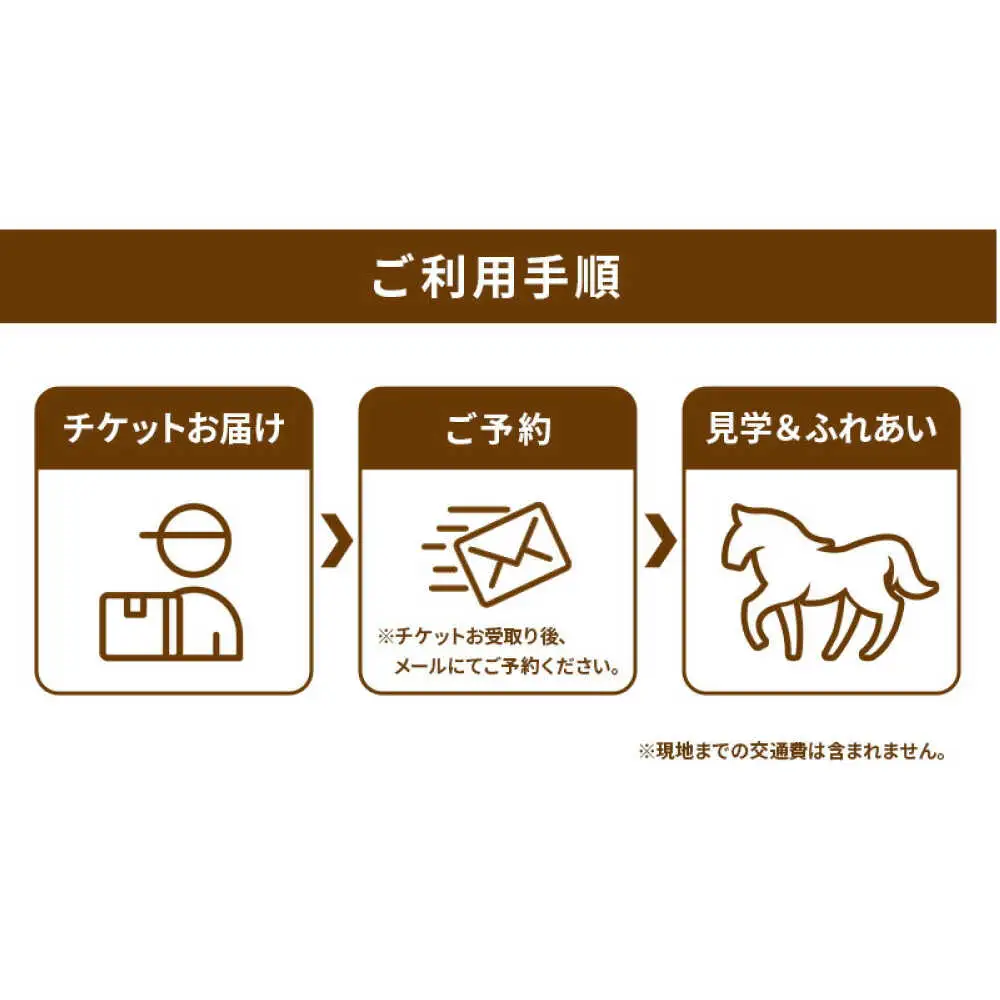 TCCセラピーパーク施設見学＆ふれあい チケット (1名様分) BIAV002 競馬 引退馬