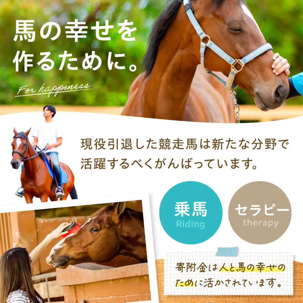 TCCホースシュー 世界に一つだけの蹄鉄 BIAV003 競馬 競馬グッズ