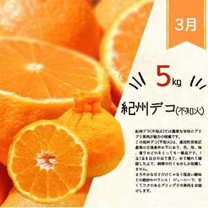 【定期便 全3回】紀州和歌山産旬の柑橘セット（みかん・紀州デコ・清見）_G60-T44