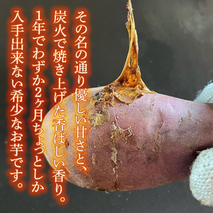 【2026年12月～受付再開】【日本最大級のサツマイモの祭典、さつまいも博2024 出店】はるの優しさ(冷凍やきいも) 約1kg｜冷凍 焼芋 焼き芋 やきいも さつまいも さつま芋 熟成 茨城県 行方市 ふるさと納税(GC-2)