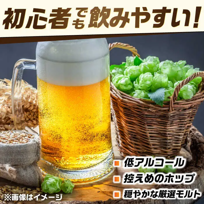 【全6回定期便】吉野ヶ里町産クラフトビール GAME BREW CONTINUE?/コンティニュー 350ml×6本セット 計36本 吉野ヶ里町/西研グラフィックス[FDG003]