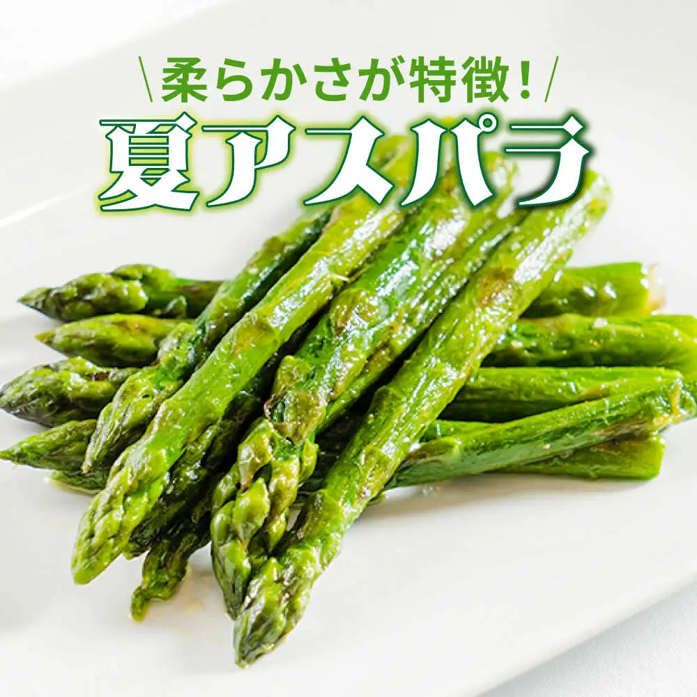 【2026年6月初回発送】【3回定期便】【星のアスパラ】夏のグリーンアスパラガス 約1kg / アスパラ 野菜 / 南島原市 / ほしのYA [SEY014]