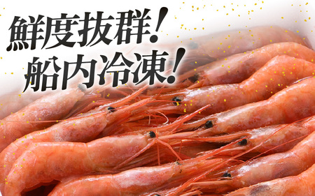 【お中元】 大好評！天然 越前甘エビ（卵なし）中サイズ 計約1.5kg（約500g × 3箱）（合計約105尾入り） 解凍方法説明書付き 船内凍結 酸化防止剤不使用！ 甘エビ本来の味をお楽しみください 【えび エビ 海老 甘エビ 甘えび 海鮮 お刺身 魚介 おせち 無添加 冷凍 福井県産】[m17-c015]