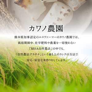 カワノ農園 もち米3kg(自然農法栽培) _U70-0272