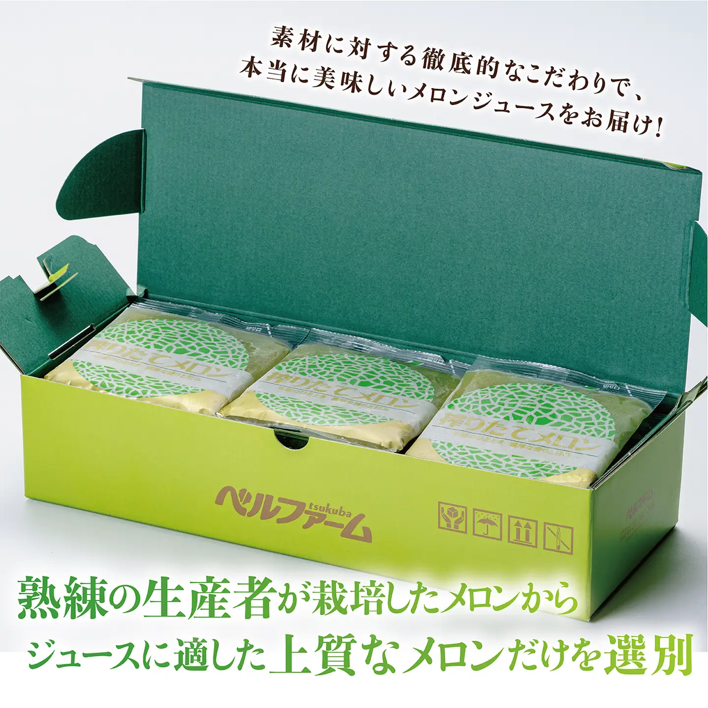 搾りたて メロン100%ジュース 100g×15P メロン